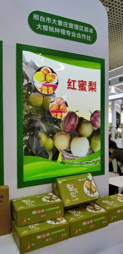 寧晉綠色農產品在廈門綠博會廣受歡迎，水產品零售表現搶眼